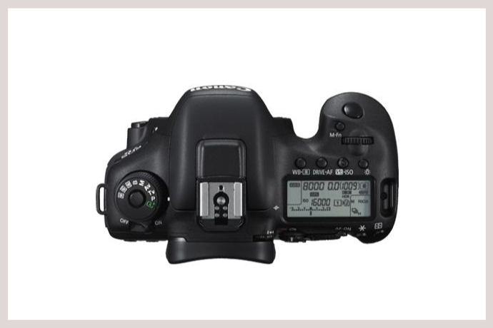 Canon EOS7D MarkII-ACEレンタル-3
